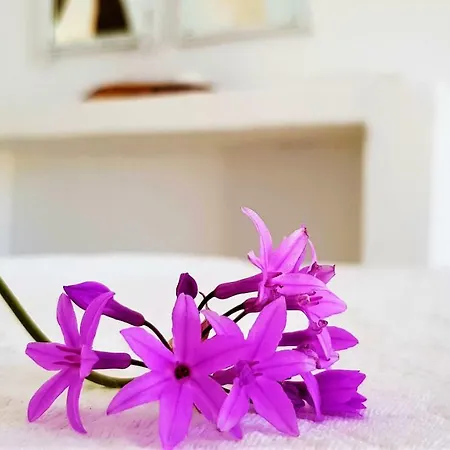 Casa Lea Paros *